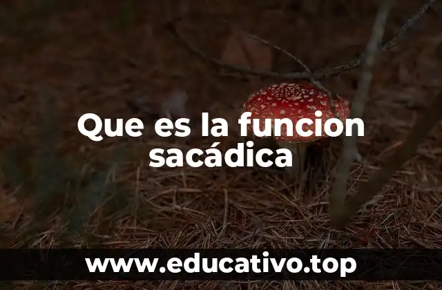 Que es la funcion sacádica