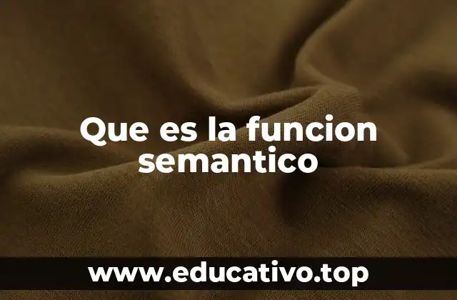 Que es la funcion semantico