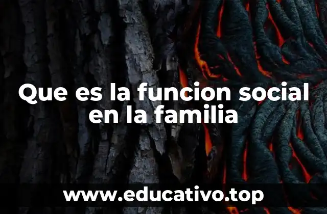 Que es la funcion social en la familia