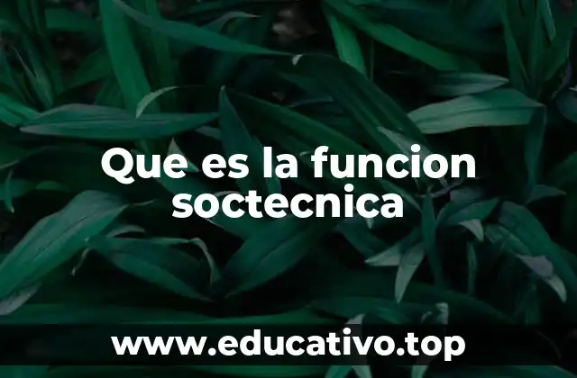 Que es la funcion soctecnica