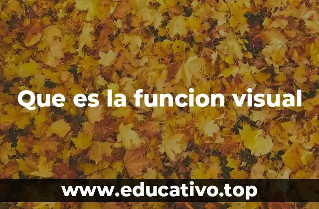 Que es la funcion visual