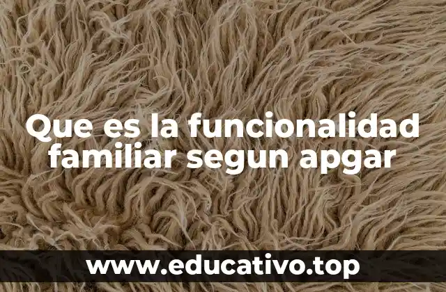 Que es la funcionalidad familiar segun apgar