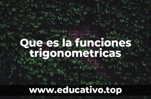 Que es la funciones trigonometricas