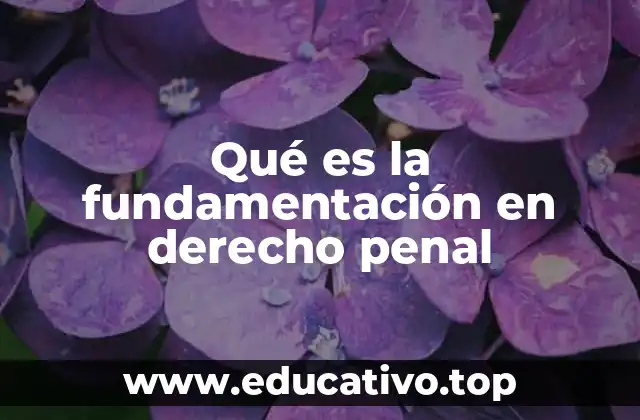 Qué es la fundamentación en derecho penal