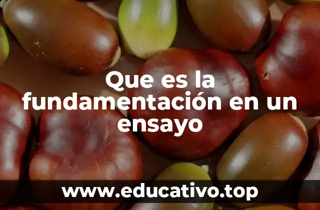 Que es la fundamentación en un ensayo