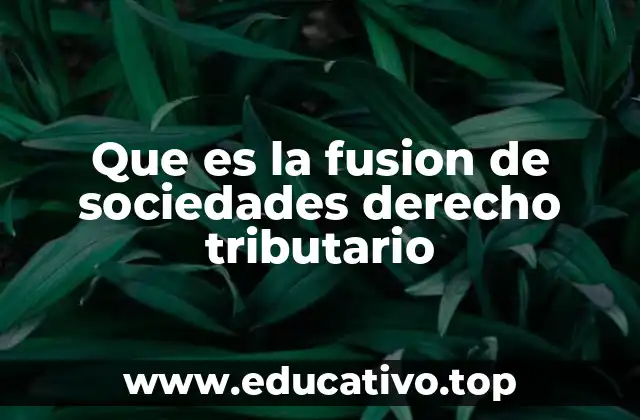 Que es la fusion de sociedades derecho tributario