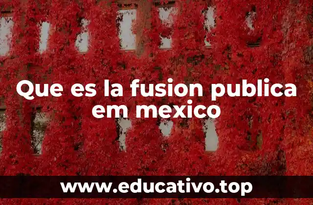 Que es la fusion publica em mexico