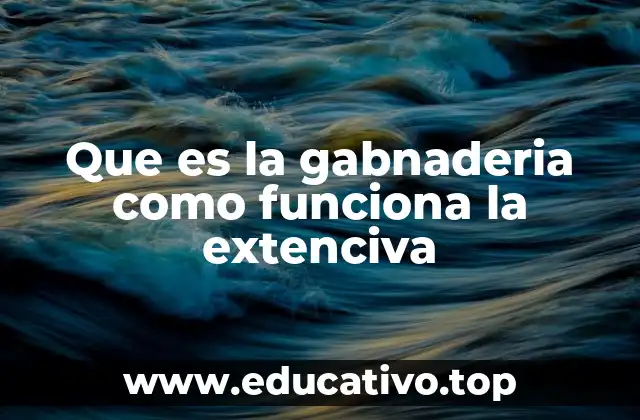 Que es la gabnaderia como funciona la extenciva