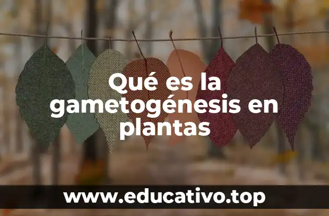 Qué es la gametogénesis en plantas
