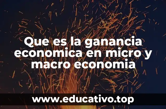 Que es la ganancia economica en micro y macro economia