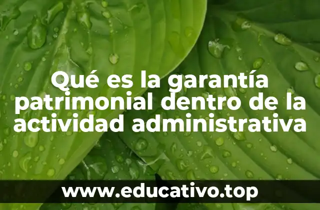 Qué es la garantía patrimonial dentro de la actividad administrativa