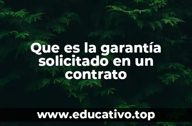 Que es la garantía solicitado en un contrato
