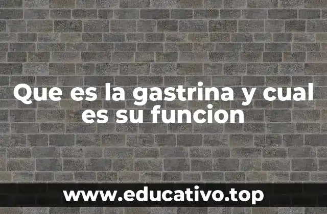 Que es la gastrina y cual es su funcion