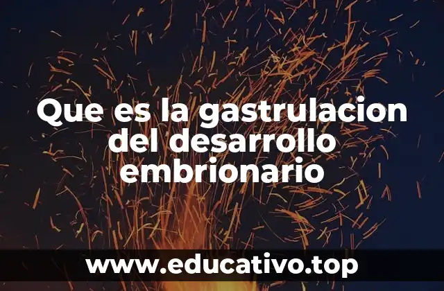 Que es la gastrulacion del desarrollo embrionario