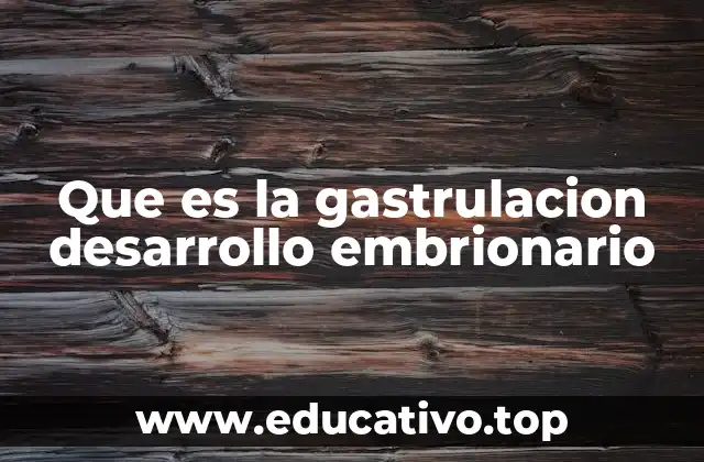 Que es la gastrulacion desarrollo embrionario