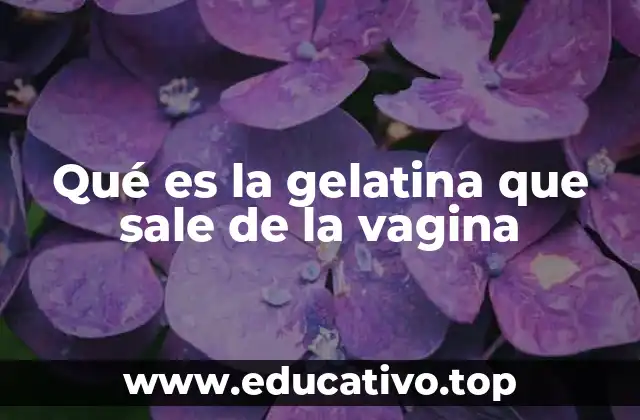 Qué es la gelatina que sale de la vagina