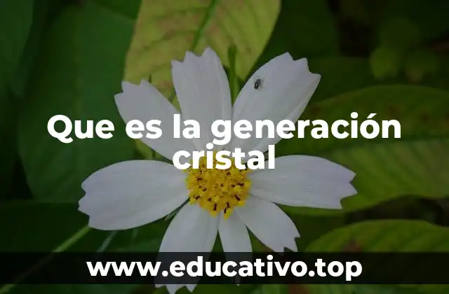Que es la generación cristal