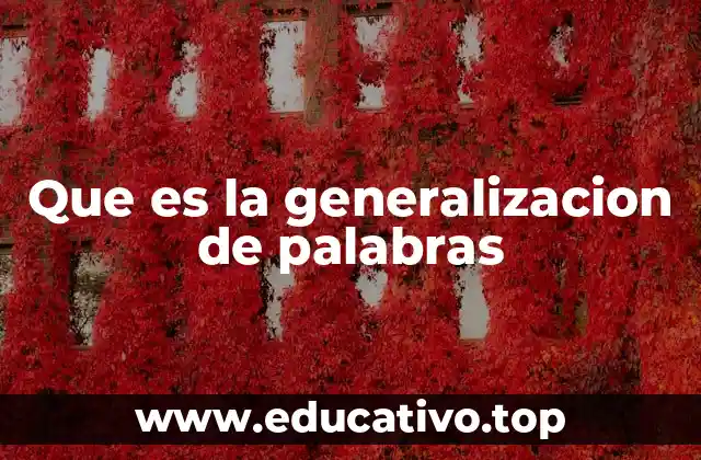 Que es la generalizacion de palabras