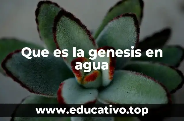 Que es la genesis en agua