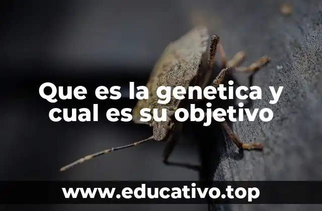 Que es la genetica y cual es su objetivo