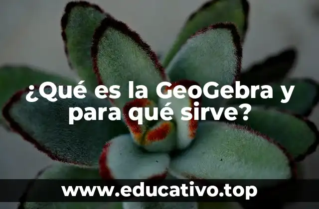 ¿Qué es la GeoGebra y para qué sirve?