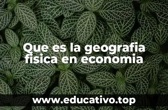 Que es la geografia fisica en economia