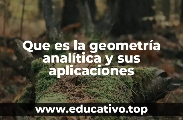 Que es la geometría analítica y sus aplicaciones