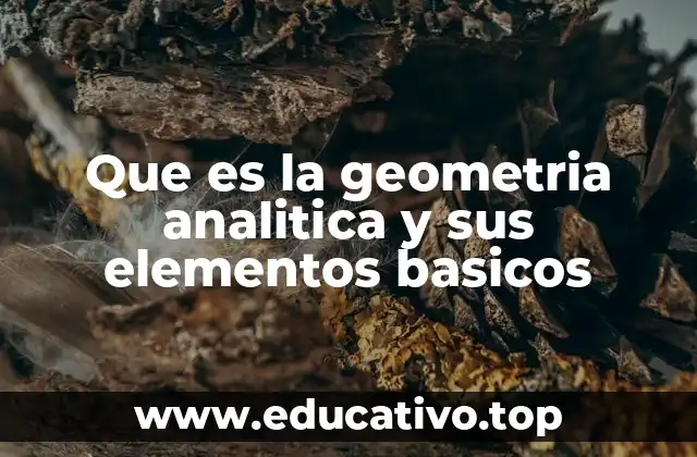Que es la geometria analitica y sus elementos basicos