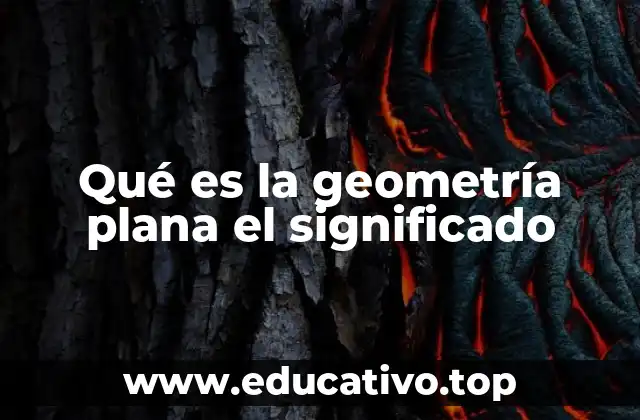 Qué es la geometría plana el significado
