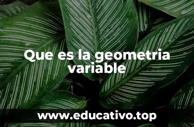 Que es la geometria variable