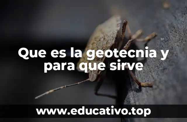 Que es la geotecnia y para que sirve