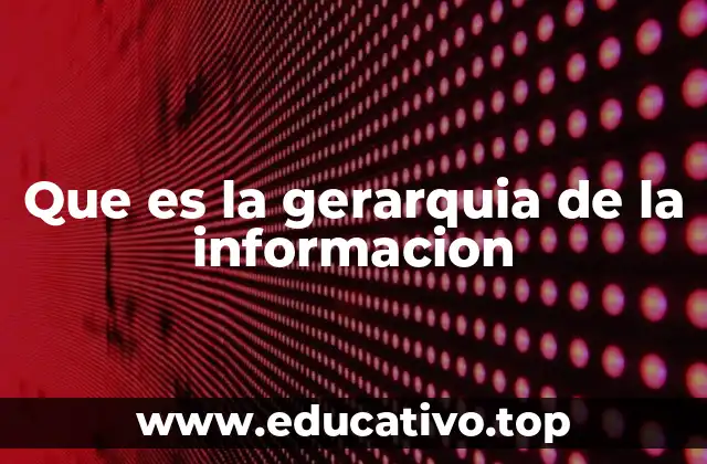 Que es la gerarquia de la informacion