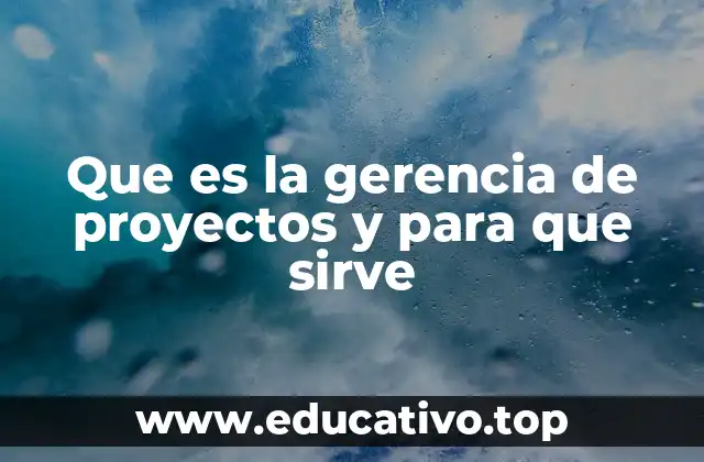 Que es la gerencia de proyectos y para que sirve