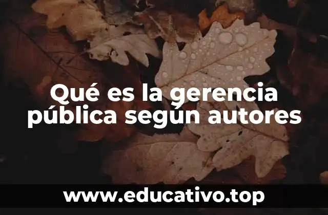 Qué es la gerencia pública según autores
