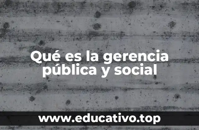 Qué es la gerencia pública y social