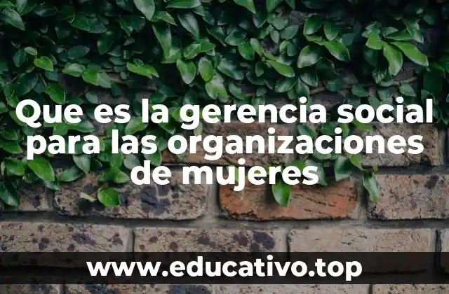 Que es la gerencia social para las organizaciones de mujeres
