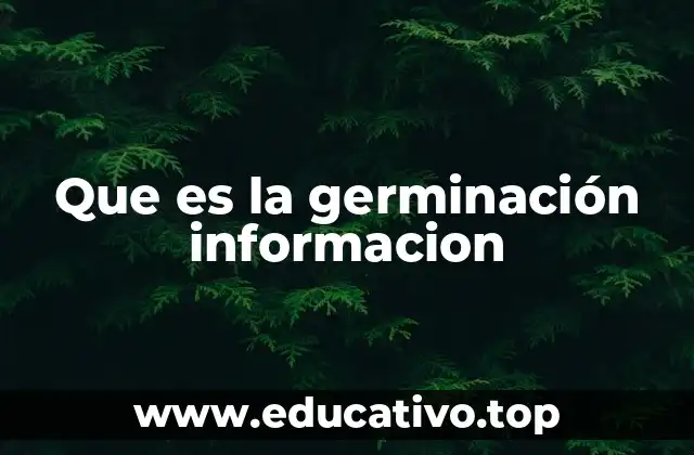 Que es la germinación informacion