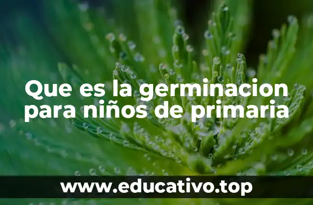 Que es la germinacion para niños de primaria