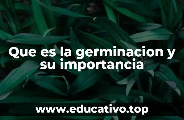 Que es la germinacion y su importancia