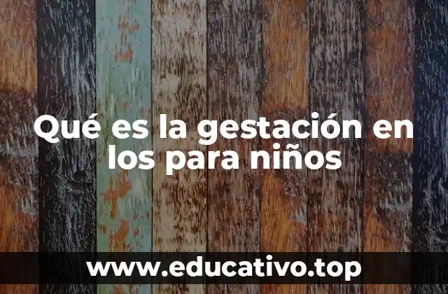 Qué es la gestación en los para niños