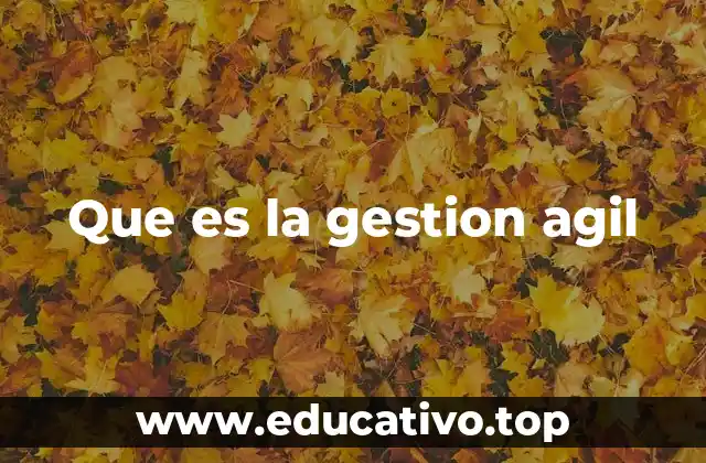 Que es la gestion agil