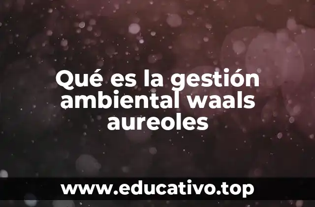 Qué es la gestión ambiental waals aureoles