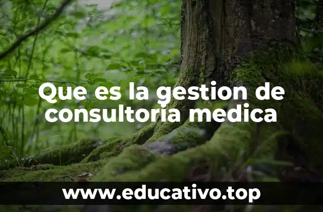 Que es la gestion de consultoria medica