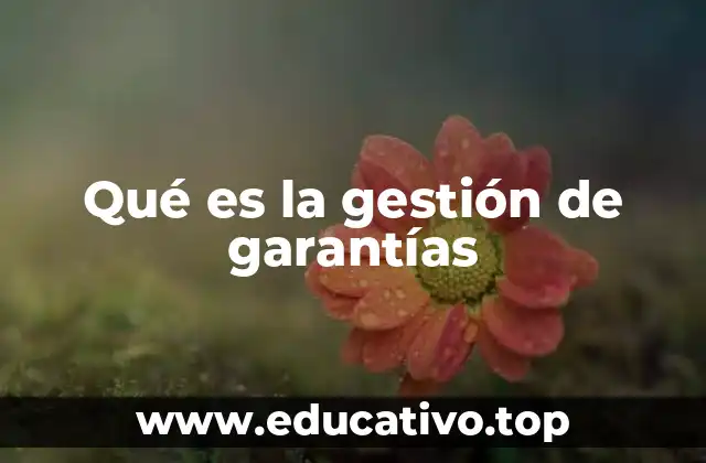 Qué es la gestión de garantías