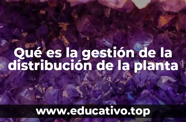 Qué es la gestión de la distribución de la planta