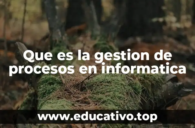 Que es la gestion de procesos en informatica