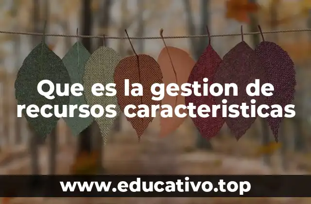 Que es la gestion de recursos caracteristicas