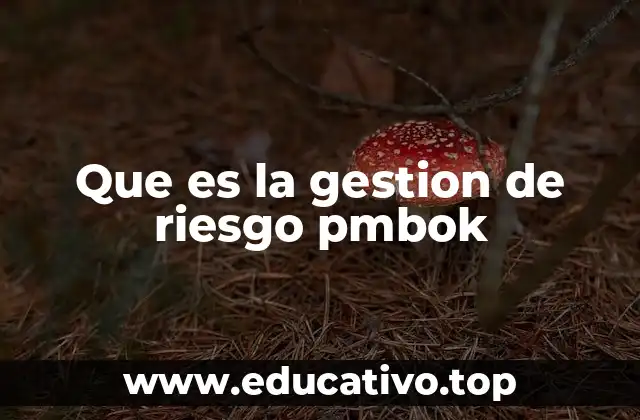 Que es la gestion de riesgo pmbok