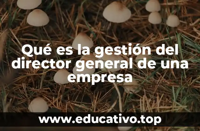 Qué es la gestión del director general de una empresa