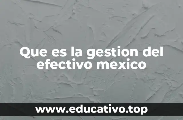 Que es la gestion del efectivo mexico